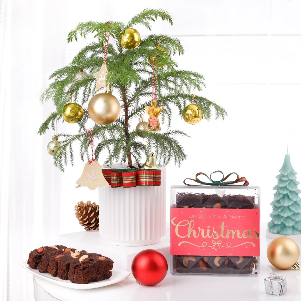 Festive Flora Christmas Hamper
