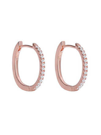 Silver Rose Gold Shining Hoop Earrings