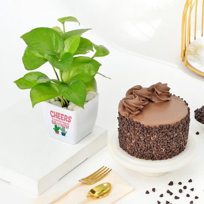 Prosperous Celebrations Combo