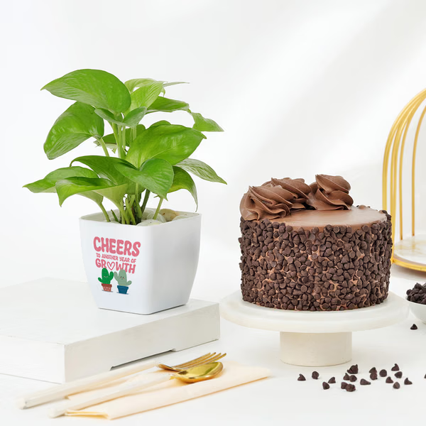 Prosperous Celebrations Combo