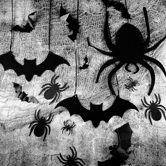 Incrizma Halloween Bat and Spider Wall Decorations