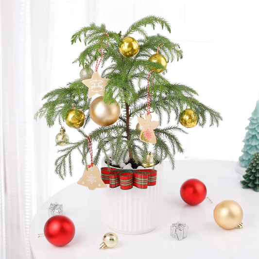 Festive Flora Christmas Hamper